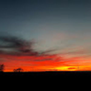 Meet your Posher, Cyndi